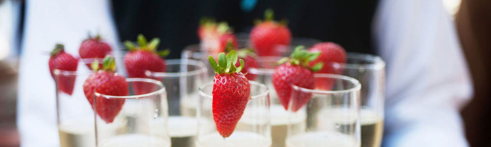elearningL2HealthAndSafetyInHospitality