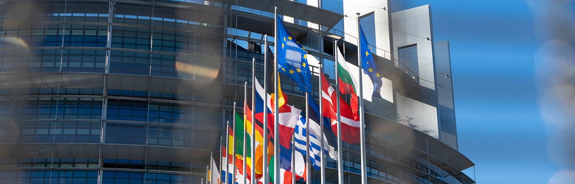 european parliament building and flags